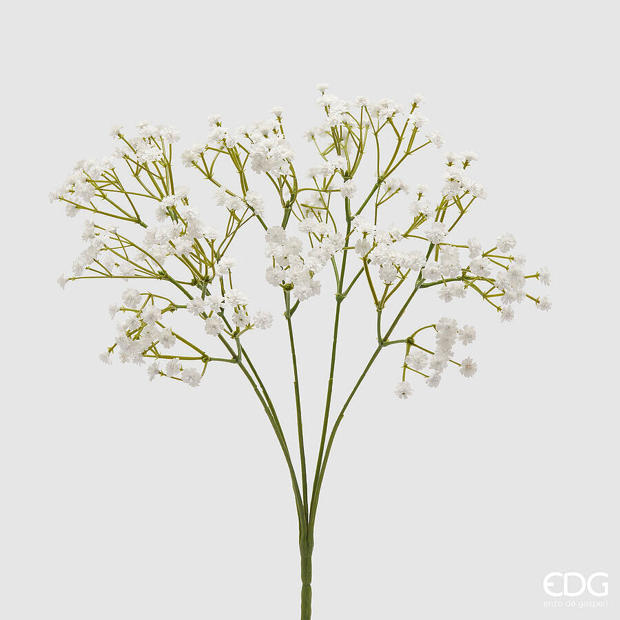 GYPSOPHILA CESPUGLIO X5 H.40