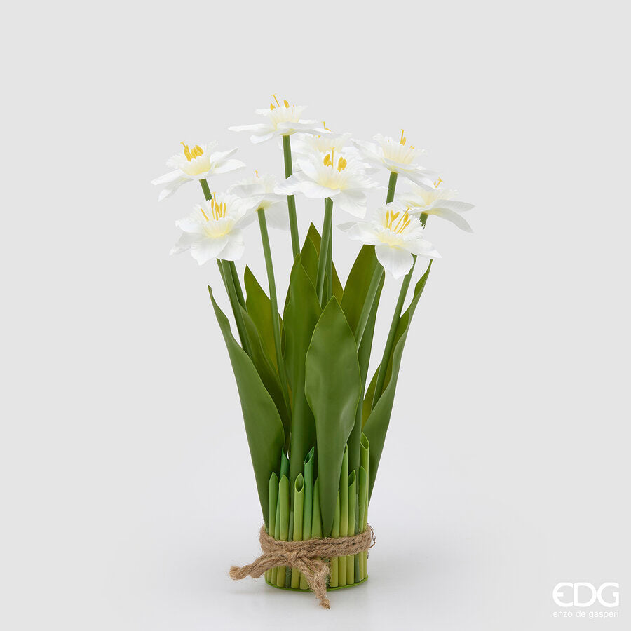 NARCISO MAZZO X9 CON FOGLIE H.41 D.10