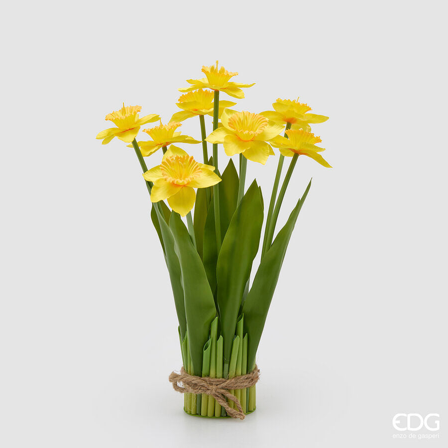 NARCISO MAZZO X9 CON FOGLIE H.41 D.10
