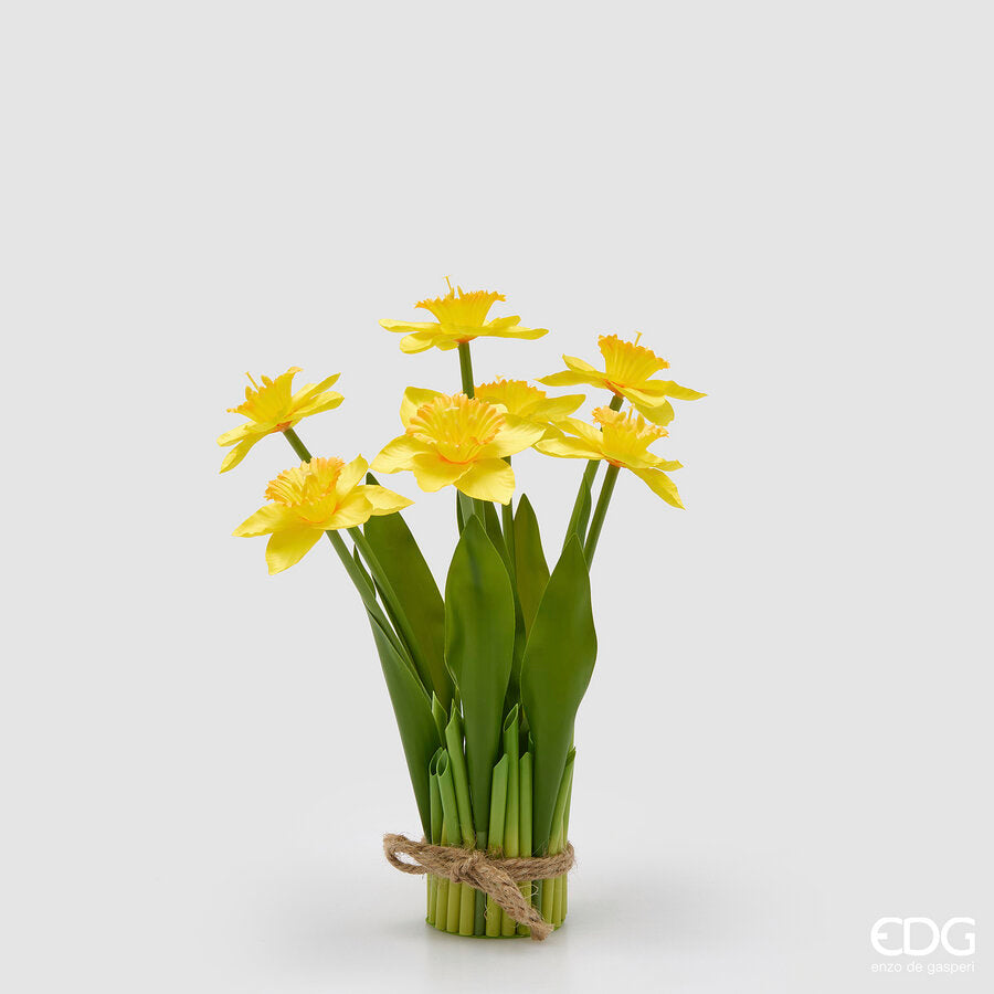 NARCISO MAZZO X7 CON FOGLIE MZ H.28 D.10