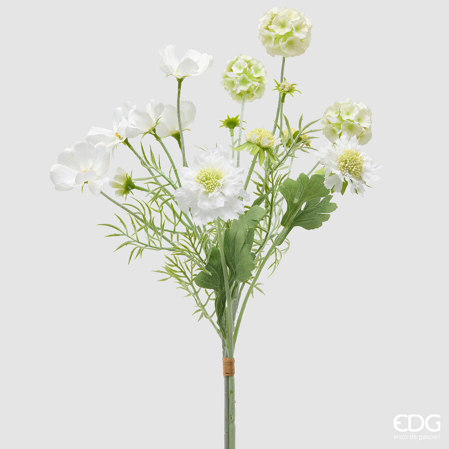 SCABIOSA CESPUGLIO H.62