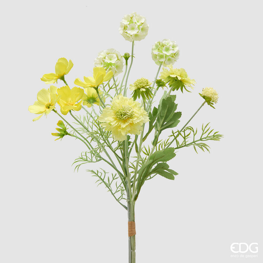 SCABIOSA CESPUGLIO H.62