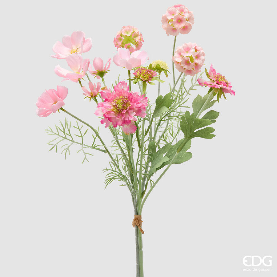 SCABIOSA CESPUGLIO H.62