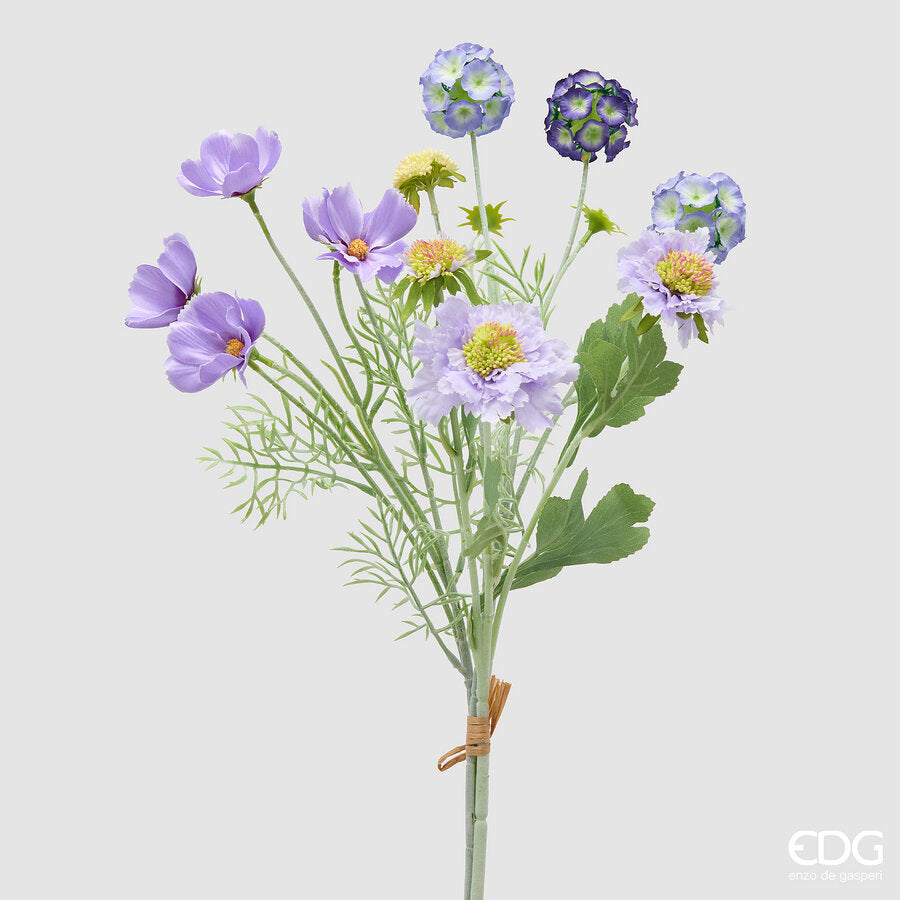 SCABIOSA CESPUGLIO H.62