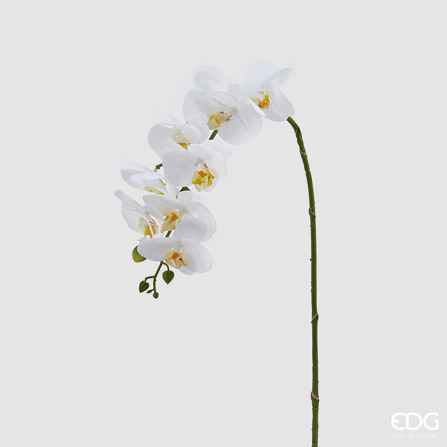 ORCHIDEA PHAL.REAL RAMO H76(9Fiori)