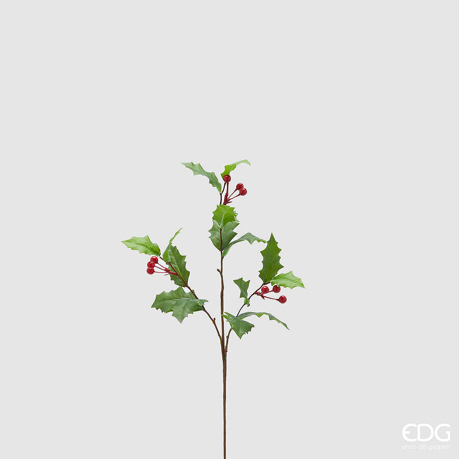 AGRIFOGLIO BACCHE RAMO H.60